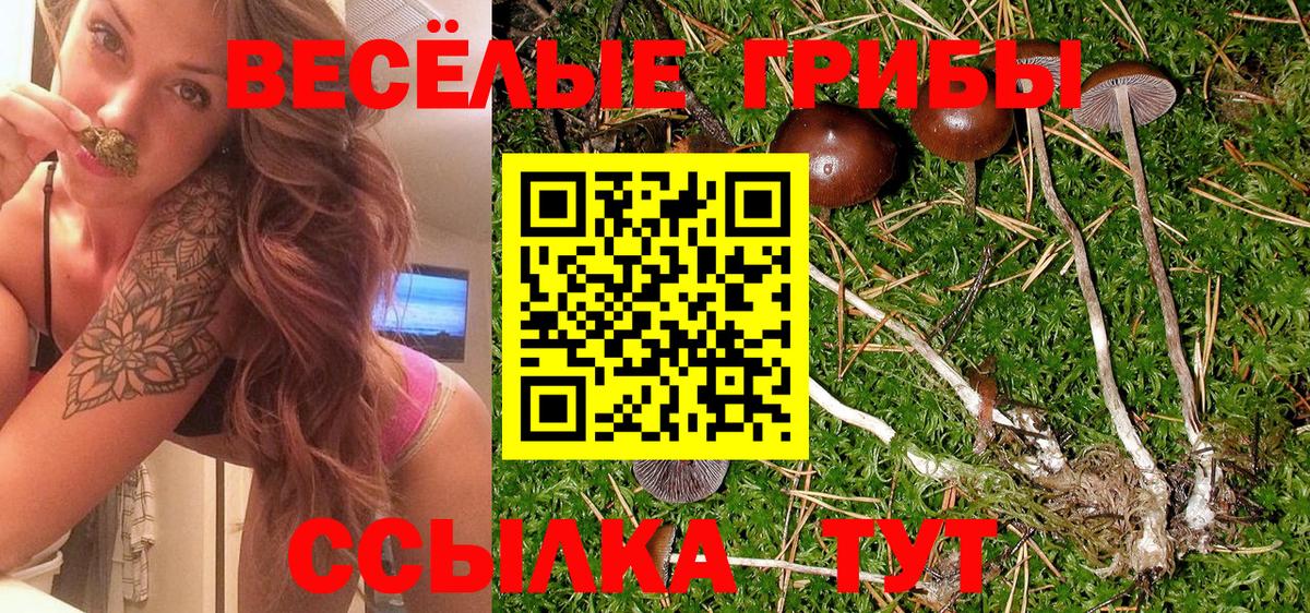 Псилоцибиновые грибы Cubensis  Вход с VPN  купить наркоту  Псилоцибиновые грибы Psilocybine cubensis  Саров 