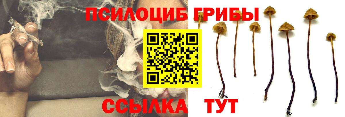 Галлюциногенные грибы GOLDEN TEACHER Саров